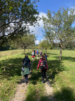17km durch das Rheingau